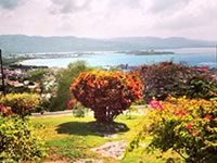 Jamaica Caribbean Island CoolestCarib.com Caribbean Directory
