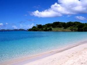 theCoolestCarib Caribbean Directory