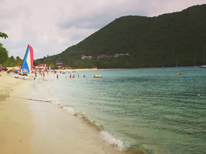 theCoolestCarib Caribbean Directory